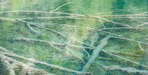 Similar image 7691301