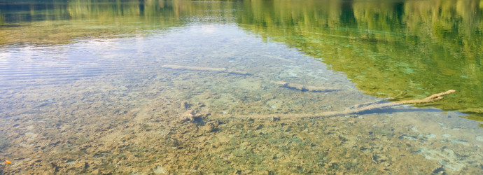 Similar image 7691302