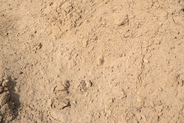 Similar image 7691619