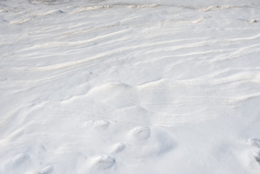 Similar image 7691621