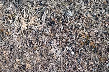 Similar image 7691626