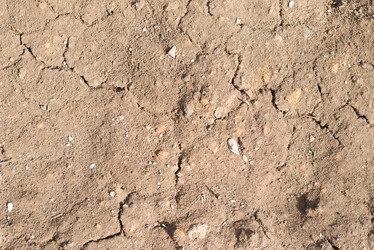 Similar image 7691632