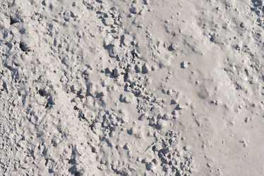 Similar image 7691636