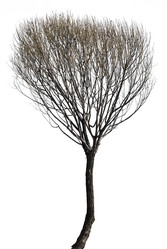 Similar image 7691694