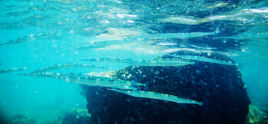 Similar image 7691977