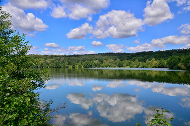 Similar image 7692039