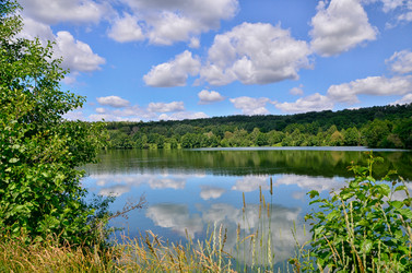 Similar image 7692040