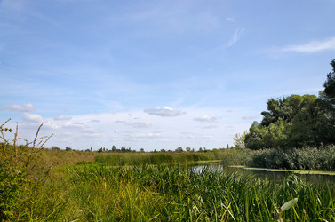 Similar image 7692041