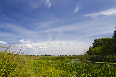 Similar image 7692043