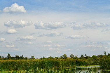 Similar image 7692044