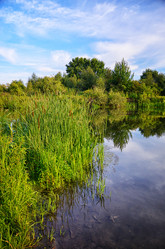 Similar image 7692046