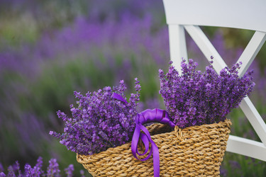 Similar image 7692197