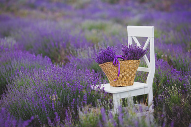 Similar image 7692202