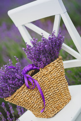 Similar image 7692205