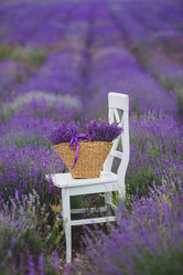 Similar image 7692206