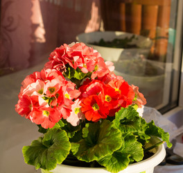 Similar image 7693255