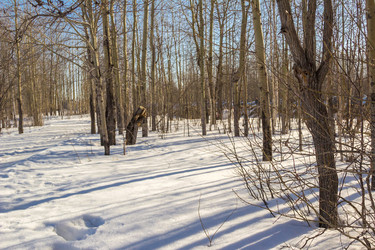 Similar image 7693485