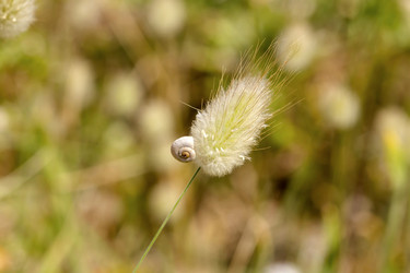 Similar image 7693621