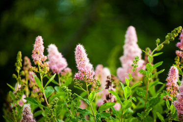 Similar image 7693816