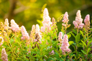 Similar image 7693822