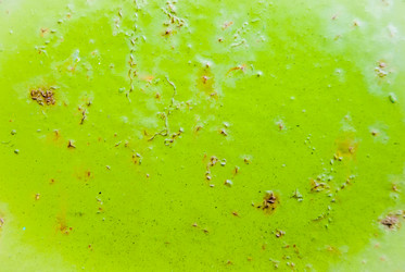 Similar image 7693824