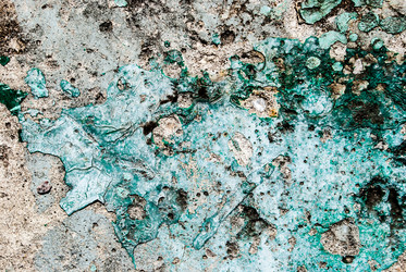 Similar image 7693835