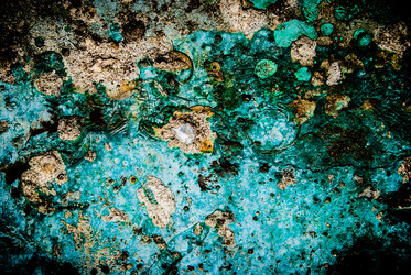 Similar image 7693862