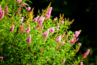 Similar image 7693863