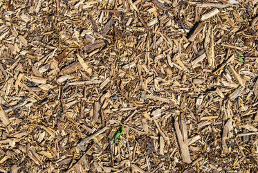 Similar image 7693896