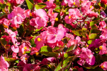 Similar image 7693916