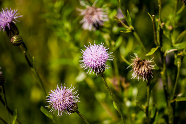 Similar image 7693917