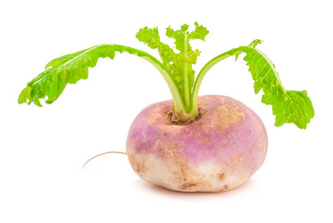 Similar image 7693918