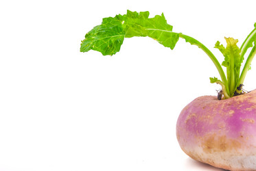 Similar image 7693921