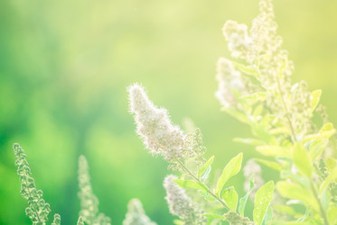 Similar image 7693924