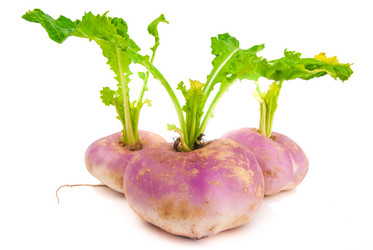 Similar image 7693925