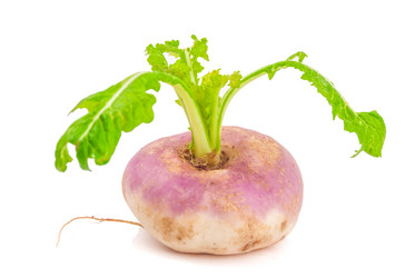 Similar image 7693927