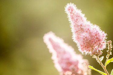 Similar image 7693931