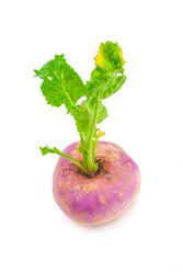 Similar image 7693933