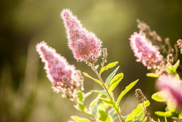 Similar image 7693935