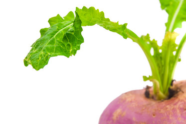 Similar image 7693937