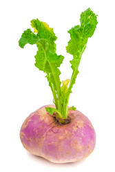 Similar image 7693938