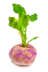 Similar image 7693946