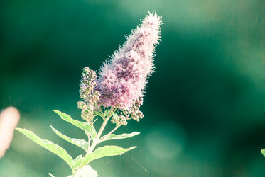 Similar image 7693951