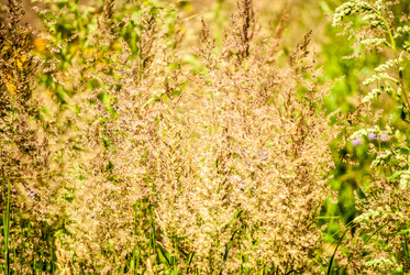 Similar image 7693952