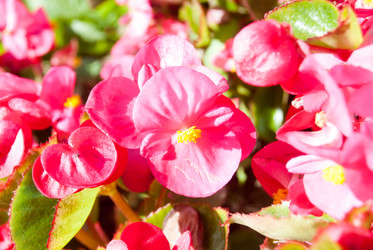 Similar image 7693954