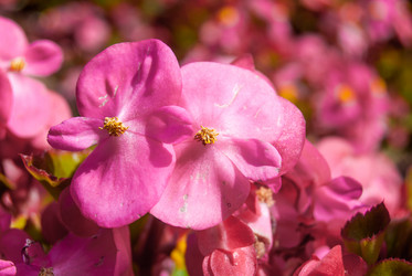 Similar image 7693958