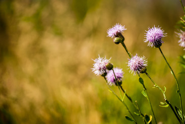 Similar image 7693959