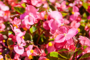 Similar image 7693960