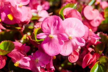 Similar image 7693962