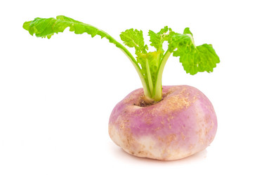 Similar image 7693963